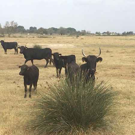 "La Pradeto" Gite Rural Camargue Arles Luaran gambar