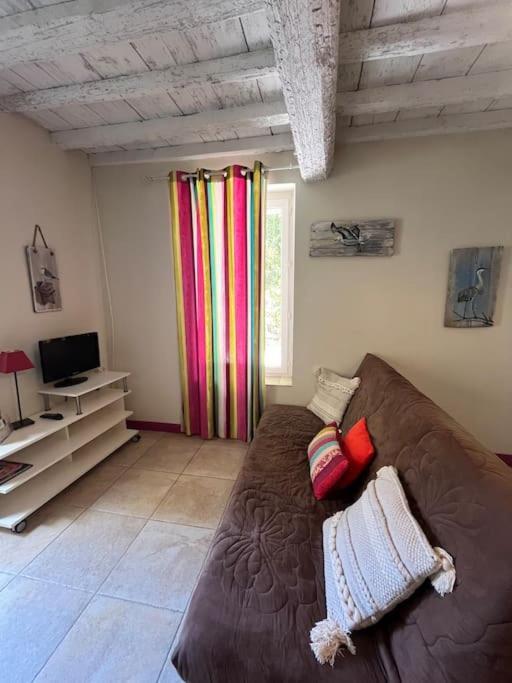 "La Pradeto" Gite Rural Camargue Arles Luaran gambar