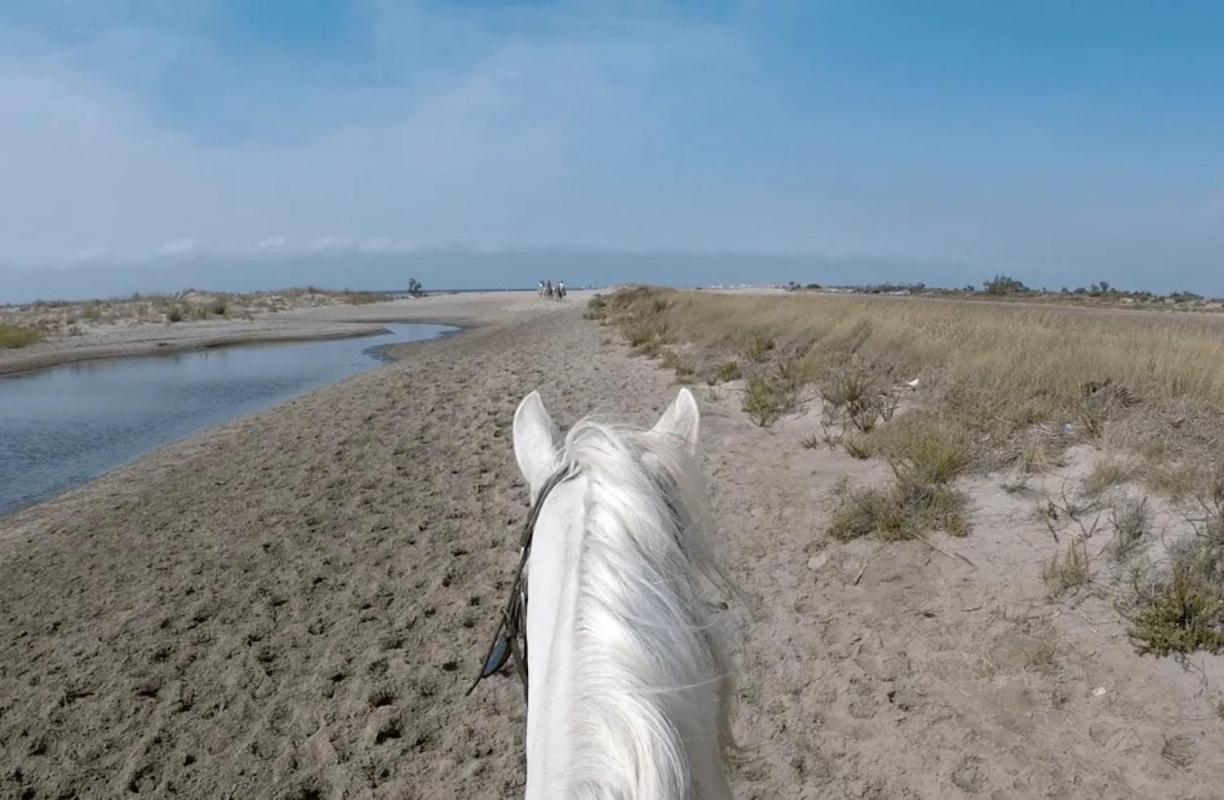 "La Pradeto" Gite Rural Camargue Arles Luaran gambar