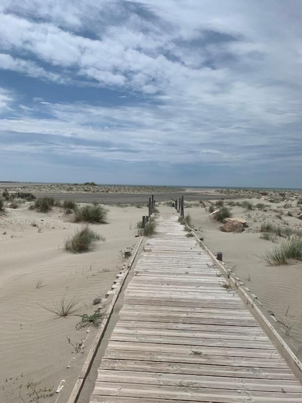 "La Pradeto" Gite Rural Camargue Arles Luaran gambar